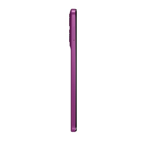 Pantone Cattleya Orchid