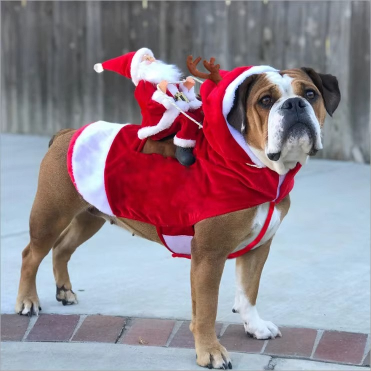 Internet celebrity big dog clothes christmas new year sweater autumn winter clothes small and medium pet teddy corgibi panda pup
