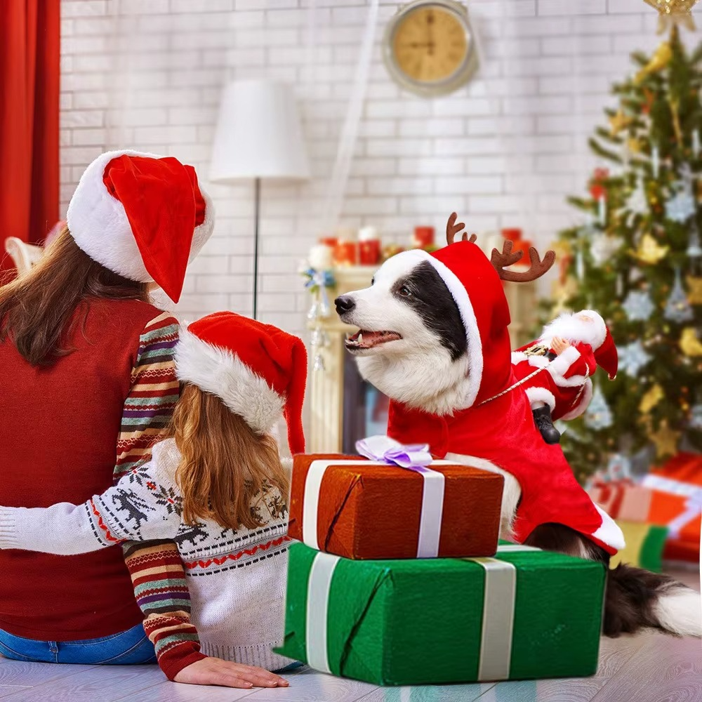 Internet celebrity big dog clothes christmas new year sweater autumn winter clothes small and medium pet teddy corgibi panda pup